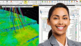 Agile Reservoir Modeling for Geologists