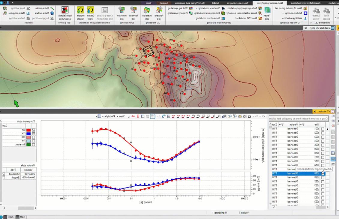 Petrel Multiphysics plug-in